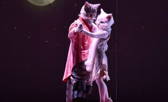 Il gatto con gli stivali