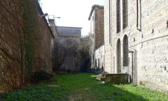 Vedere le forme del suono