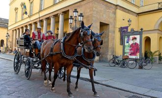 CON VERDI IN CARROZZA